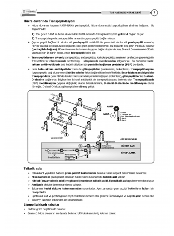 TUS Kampı Kitabı ( Hedef 65 ) Mikrobiyoloji