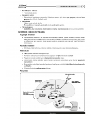 TUS Kampı Kitabı ( Hedef 65 ) Patoloji