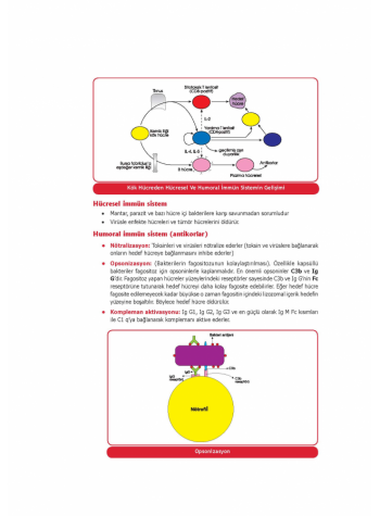 UTS KONU KİTABI ( 5.BASKI ) MİKROBİYOLOJİ 