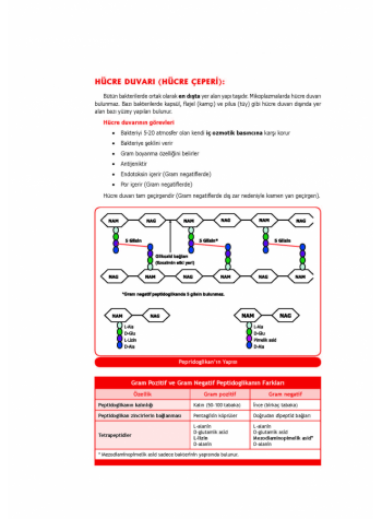 UTS KONU KİTABI ( 5.BASKI ) MİKROBİYOLOJİ 
