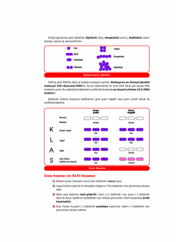 UTS KONU KİTABI ( 5.BASKI ) MİKROBİYOLOJİ 