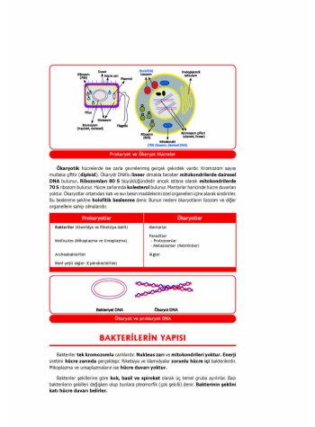 UTS KONU KİTABI ( 5.BASKI ) MİKROBİYOLOJİ 