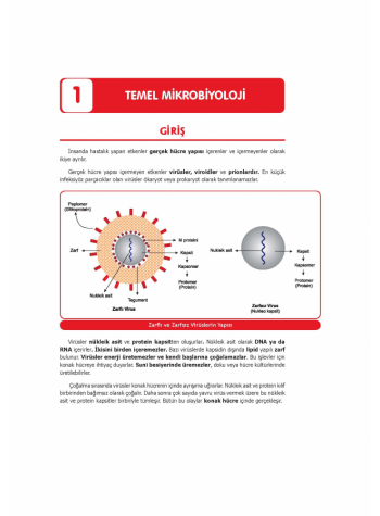 UTS KONU KİTABI ( 5.BASKI ) MİKROBİYOLOJİ 