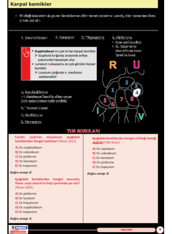 UTS TUS İÇİN ANATOMİ ŞEKİL ATLASI ( 2.BASKI )