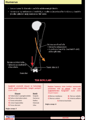 UTS TUS İÇİN ANATOMİ ŞEKİL ATLASI ( 2.BASKI )