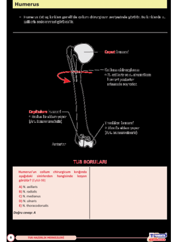 UTS TUS İÇİN ANATOMİ ŞEKİL ATLASI ( 2.BASKI )