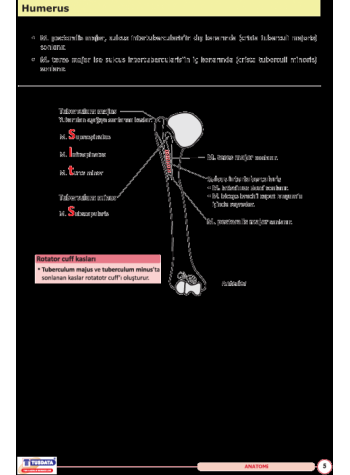 UTS TUS İÇİN ANATOMİ ŞEKİL ATLASI ( 2.BASKI )