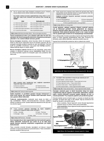 24 Açıklamalı Deneme Serisi - Anatomi