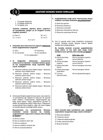 24 Açıklamalı Deneme Serisi - Anatomi