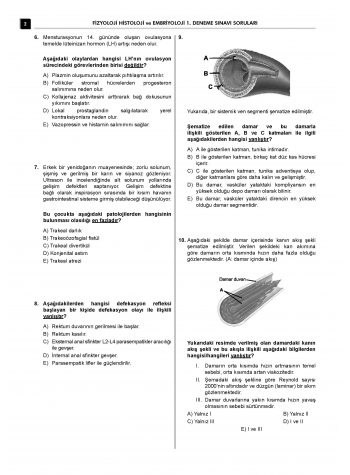 24 Açıklamalı Deneme Serisi - Fizyoloji