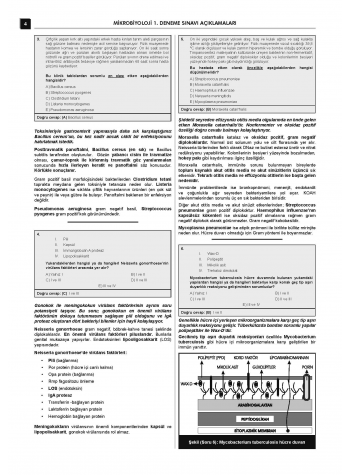 24 Açıklamalı Deneme Serisi - Mikrobiyoloji