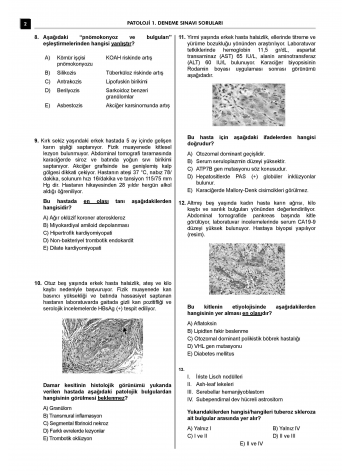 24 Açıklamalı Deneme Serisi - Patoloji