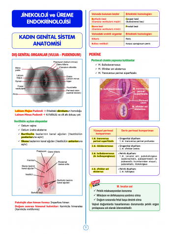 SPEETUS Kampı Kadın Doğum ( 2.Baskı )