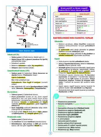 SPEETUS Kampı Mikrobiyoloji ( 2.Baskı )