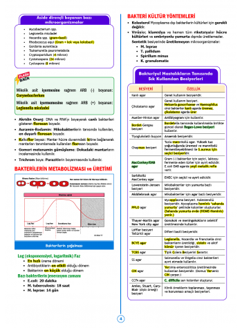 SPEETUS Kampı Mikrobiyoloji ( 2.Baskı )