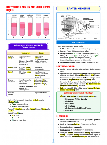 SPEETUS Kampı Mikrobiyoloji ( 2.Baskı )