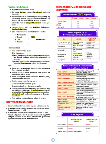 SPEETUS Kampı Mikrobiyoloji ( 2.Baskı )