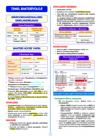 SPEETUS Kampı Mikrobiyoloji ( 2.Baskı )