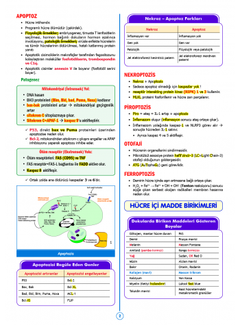 SPEETUS Kampı Patoloji ( 2.Baskı )