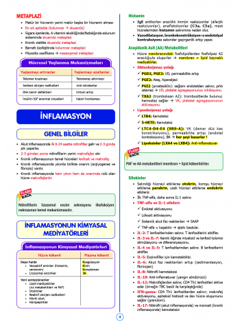 SPEETUS Kampı Patoloji ( 2.Baskı )