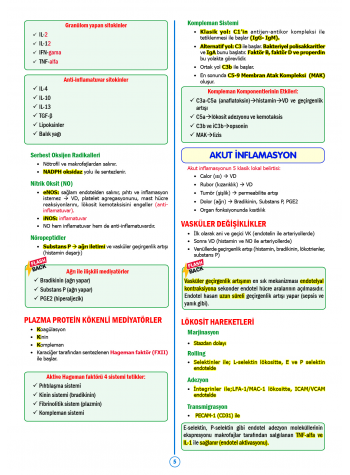 SPEETUS Kampı Patoloji ( 2.Baskı )