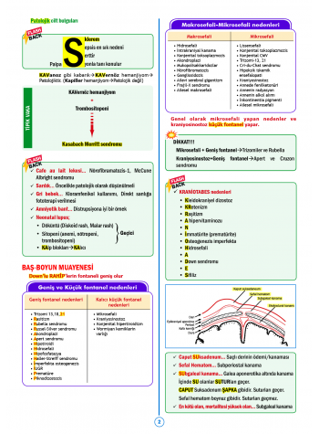 SPEETUS Kampı Pediatri ( 2.Baskı )