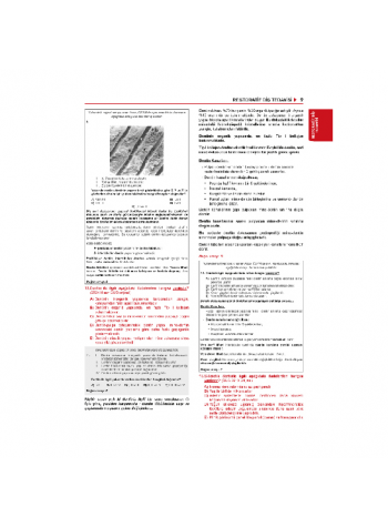 Tüm Dus Soruları 1+2 ( 2.Baskı ) Klinik / 2.Cilt