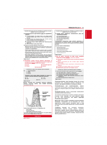 Tüm Dus Soruları 1+2 ( 2.Baskı ) Klinik / 3.Cilt