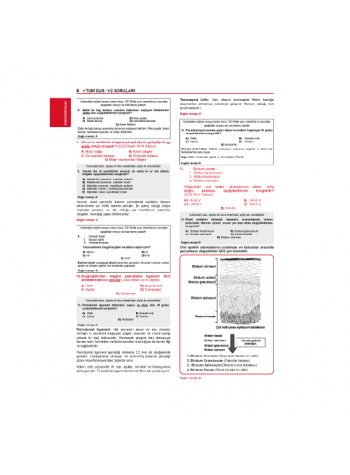 Tüm Dus Soruları 1+2 ( 2.Baskı ) Klinik / 3.Cilt