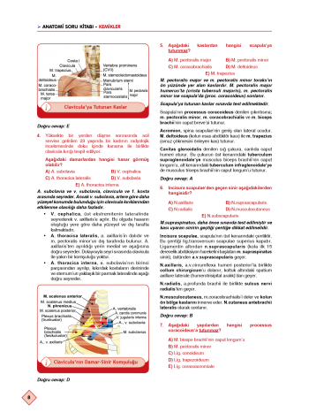 Klinisyen Soruları Anatomi ( 13.Baskı )