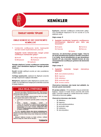 Klinisyen Soruları Anatomi ( 13.Baskı )