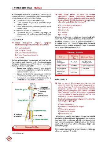 Klinisyen Soruları Anatomi ( 13.Baskı )