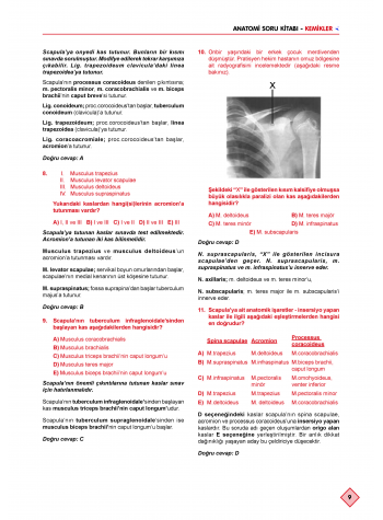 Klinisyen Soruları Anatomi ( 13.Baskı )