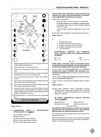 Klinisyen Soruları Küçük Stajlar ( 12.Baskı )