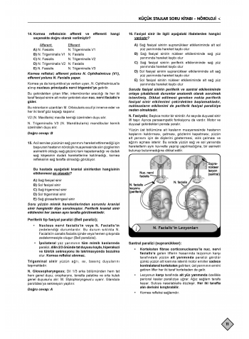 Klinisyen Soruları Küçük Stajlar ( 12.Baskı )