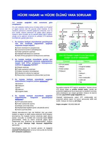 Vaka Soruları PATOLOJİ ( 2.Baskı )