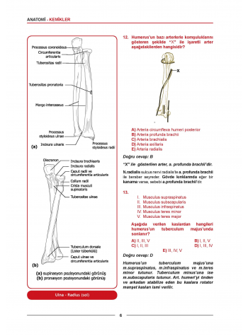 Meditus Soruları ( 3.Baskı ) Anatomi