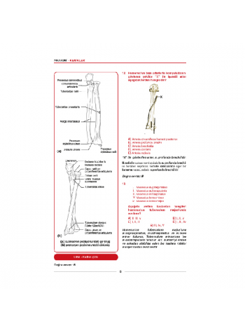 Meditus Soruları ( 3.Baskı ) Anatomi