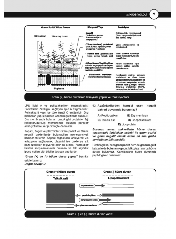 DUS Miadent Soruları ( 7.Baskı ) Mikrobiyoloji