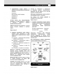 DUS Miadent Soruları ( 8.Baskı ) Biyokimya