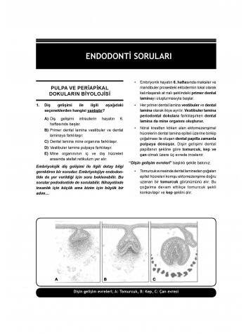 DUS Miadent Soruları ( 8.Baskı ) Endodonti