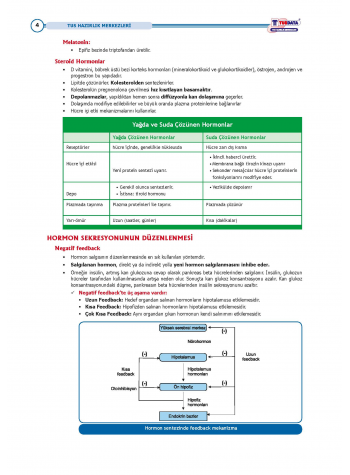 TUS Entegre Temel Endokrinoloji