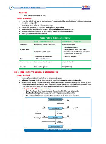 TUS Entegre Temel Endokrinoloji