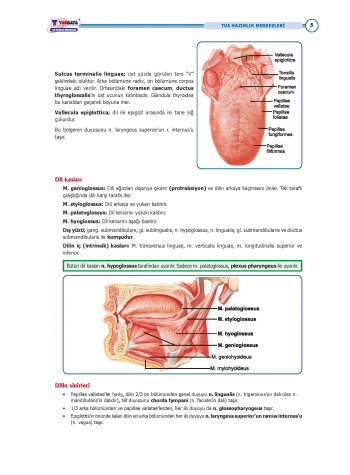 TUS Entegre Temel Gastrointestinal Sistem