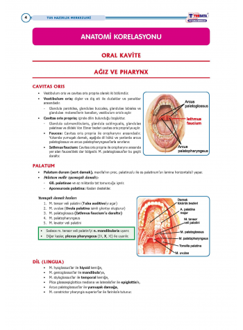 TUS Entegre Temel Gastrointestinal Sistem