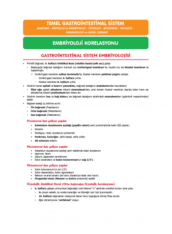 TUS Entegre Temel Gastrointestinal Sistem