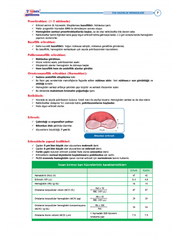 TUS Entegre Temel Hematoloji