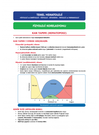 TUS Entegre Temel Hematoloji