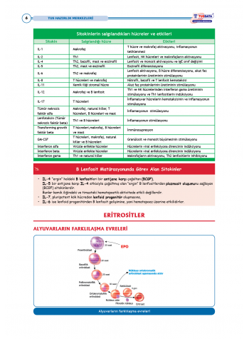 TUS Entegre Temel Hematoloji