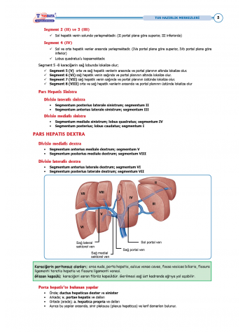 TUS Entegre Temel Hepatobiliyer Sistem